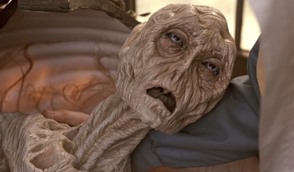 Quando ti risvegli dalla pennichella pomeridiana a 40° 

#caldo