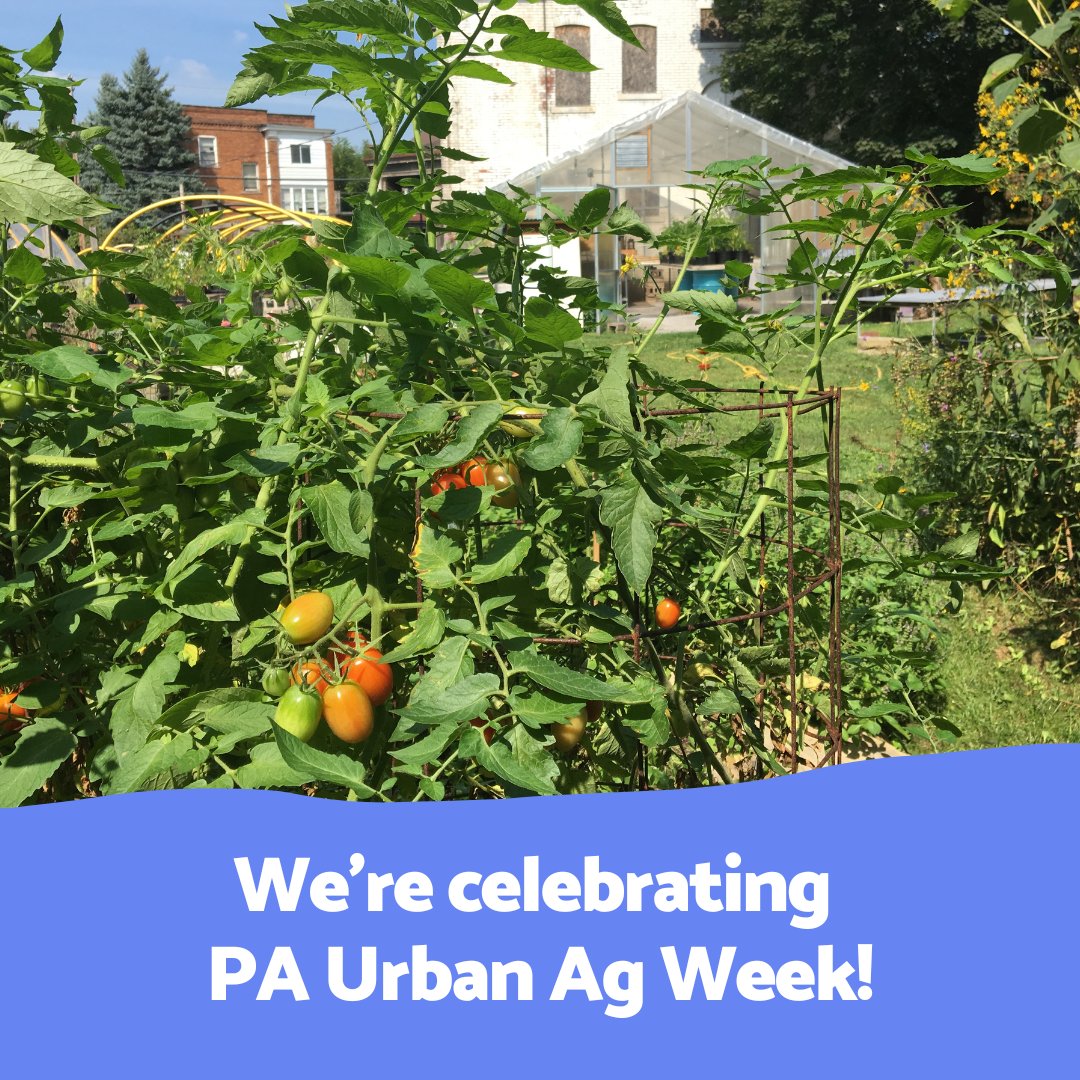 We’re celebrating PA Urban Ag Week!  🌱 🏙

We’ll be joining Pennsylvania Secretary of Agriculture Russell Redding at visits to urban farms across the Commonwealth this week. Follow along to see what we discover! 💚

#urbanagriculture #urbanag
