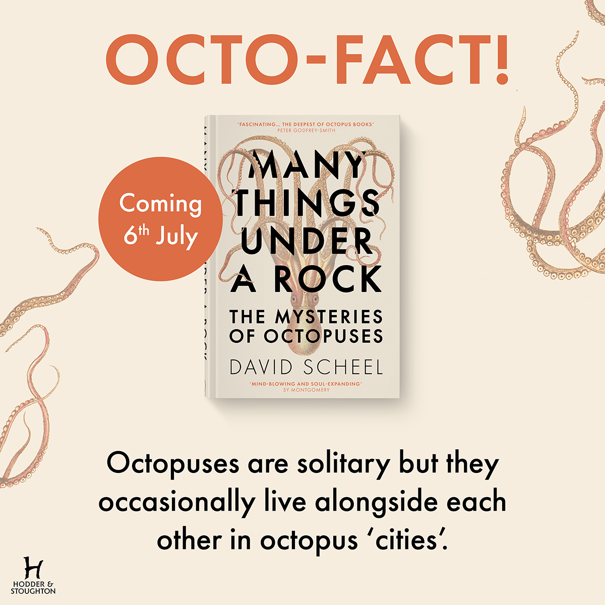 HodderBooks's tweet photo. 'Enchanting' MAIL ON SUNDAY
'Scheel brings the world of the octopus vividly alive' FINANCIAL TIMES
'Fascinating' PETER GODFREY-SMITH
'Mind-blowing and soul-expanding' SY MONTGOMERY

It's time to go under the sea with #ManyThingsUnderARock, out now 🐙 https://t.co/Zavc8jFTuC https://t.co/TOJNLJiVoq