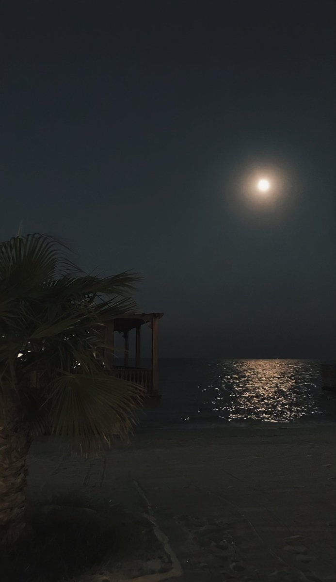 الجُلوس أمام البحر ليلاً يُحسن المزاج بنسبة ٩٠٪
Sitting by the sea at night improves mood by 90%