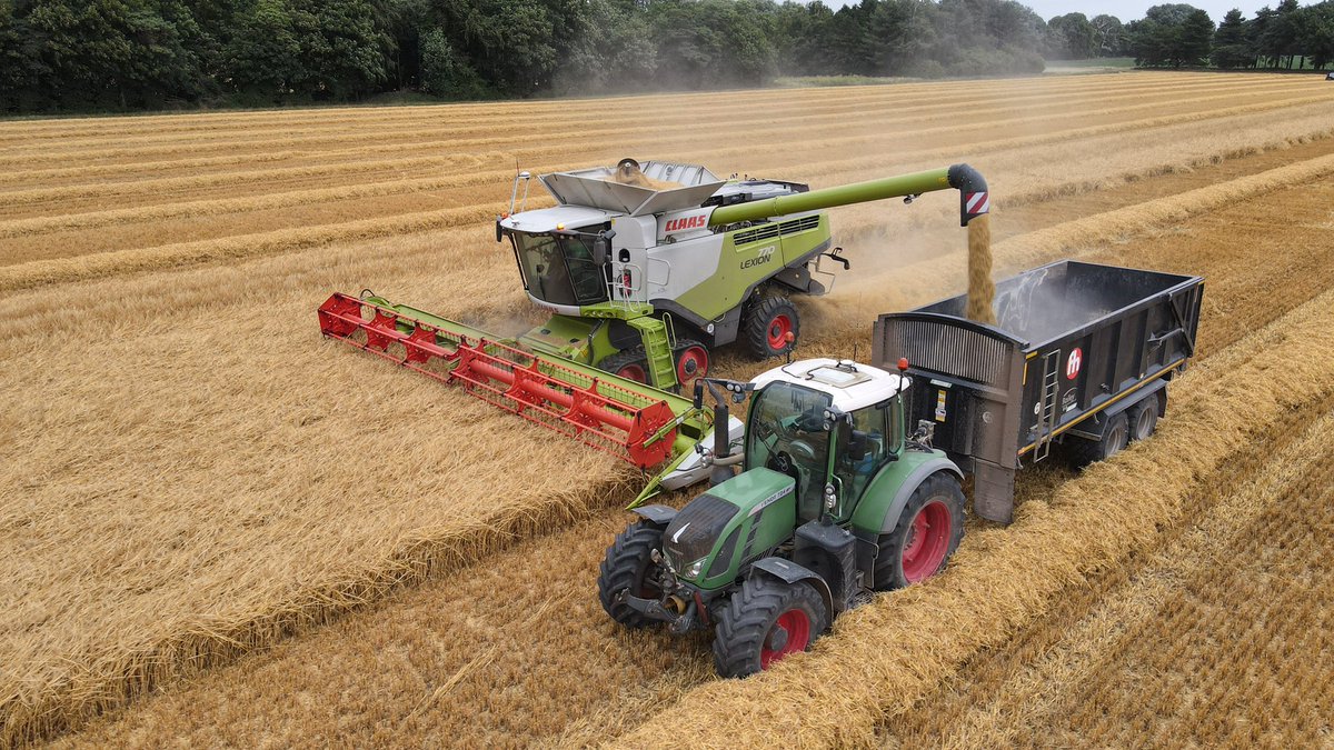 Frederick Hiam Ltd tweet media