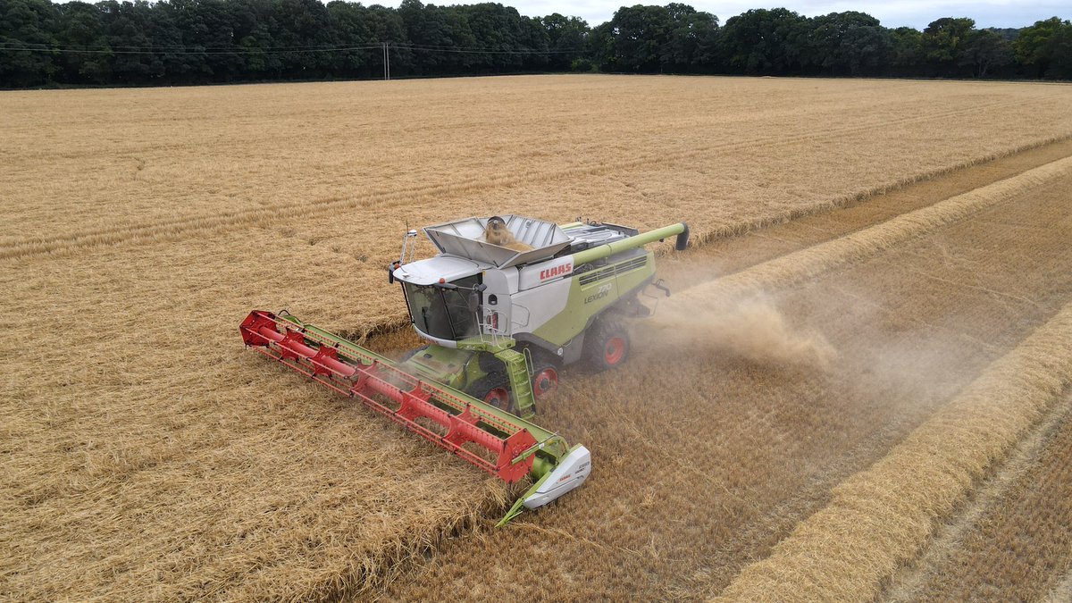 Frederick Hiam Ltd tweet media