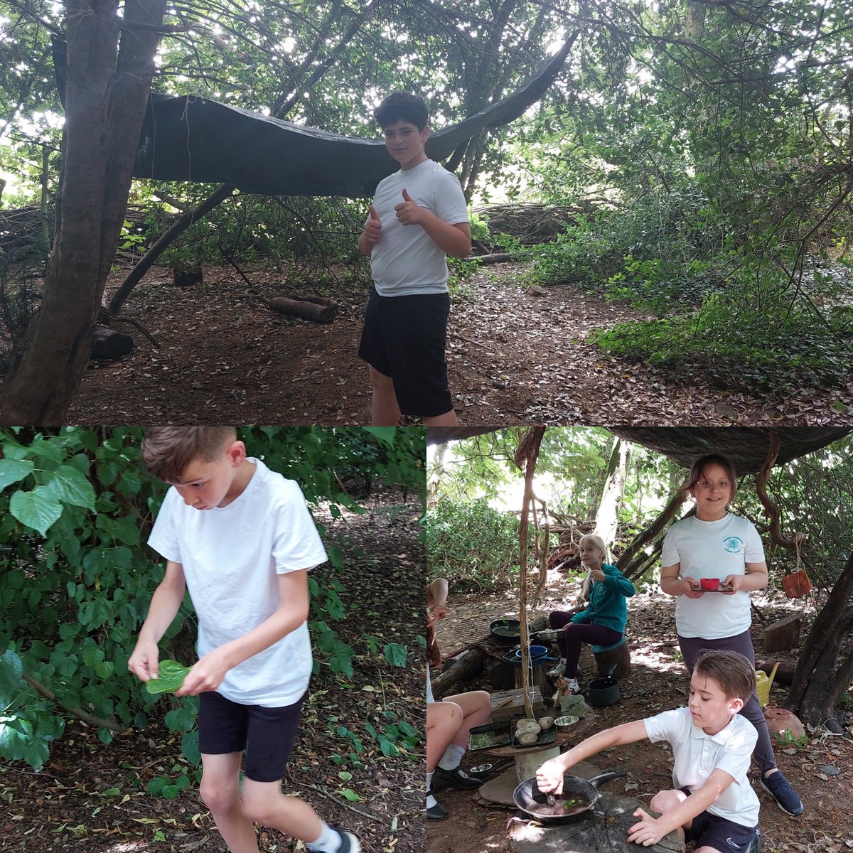 Parkside Community Primary School tweet media