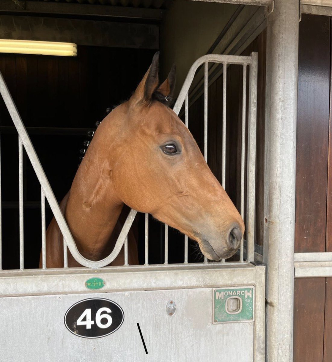 💖💛 For Sale 💖💛

Far From A Ruby

Well handicapped Ruby who finished 3rd yesterday is for sale 

She would benefit from a change of scenery 

She is entered to run on Monday at Ayr 

Hopefully she gives her new owners as much fun as she has given us 

<a href="/K_scottracing/">Katie Scott Racing</a> 

RT
