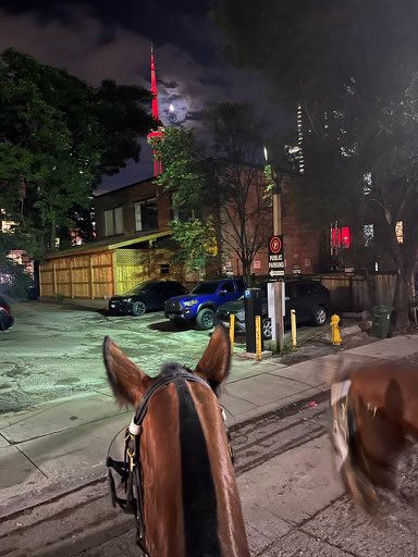 TPSMounted's tweet image. #PHDraper had a busy weekend working  with frontline Officers as well as our Public Safety Response Team to ensure the City’s nightlife is for everyone. The horses deter and deescalate heated confrontations in crowds &amp;amp; are highly visible for when you need assistance #teamwork