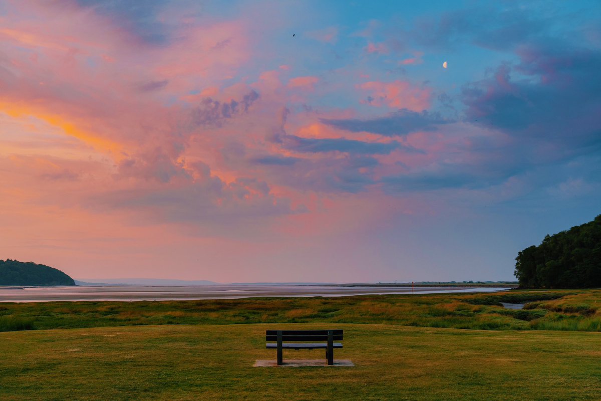 Daniel Casson tweet media