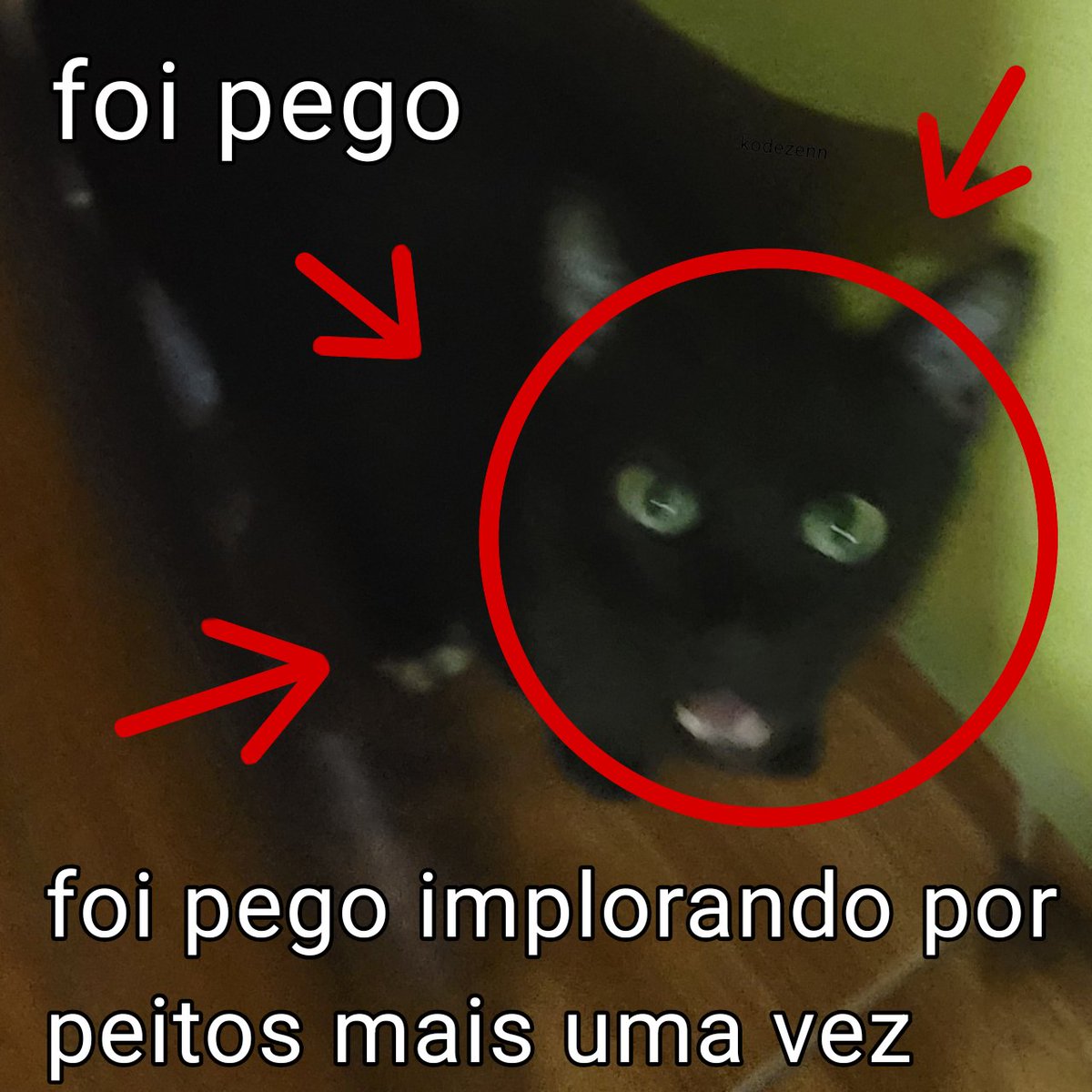 odeiootaco's tweet photo. https://t.co/neOmGehV9Z
