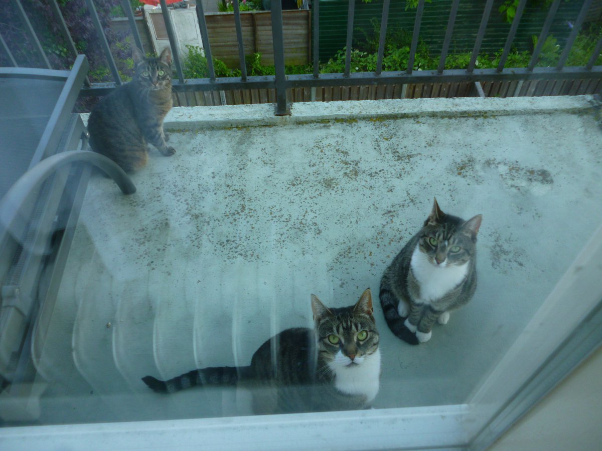 raymondstolp's tweet photo. @jilldjones My balcony right now. Thinking of you often, Jonesy. https://t.co/LfE1YnlUWN