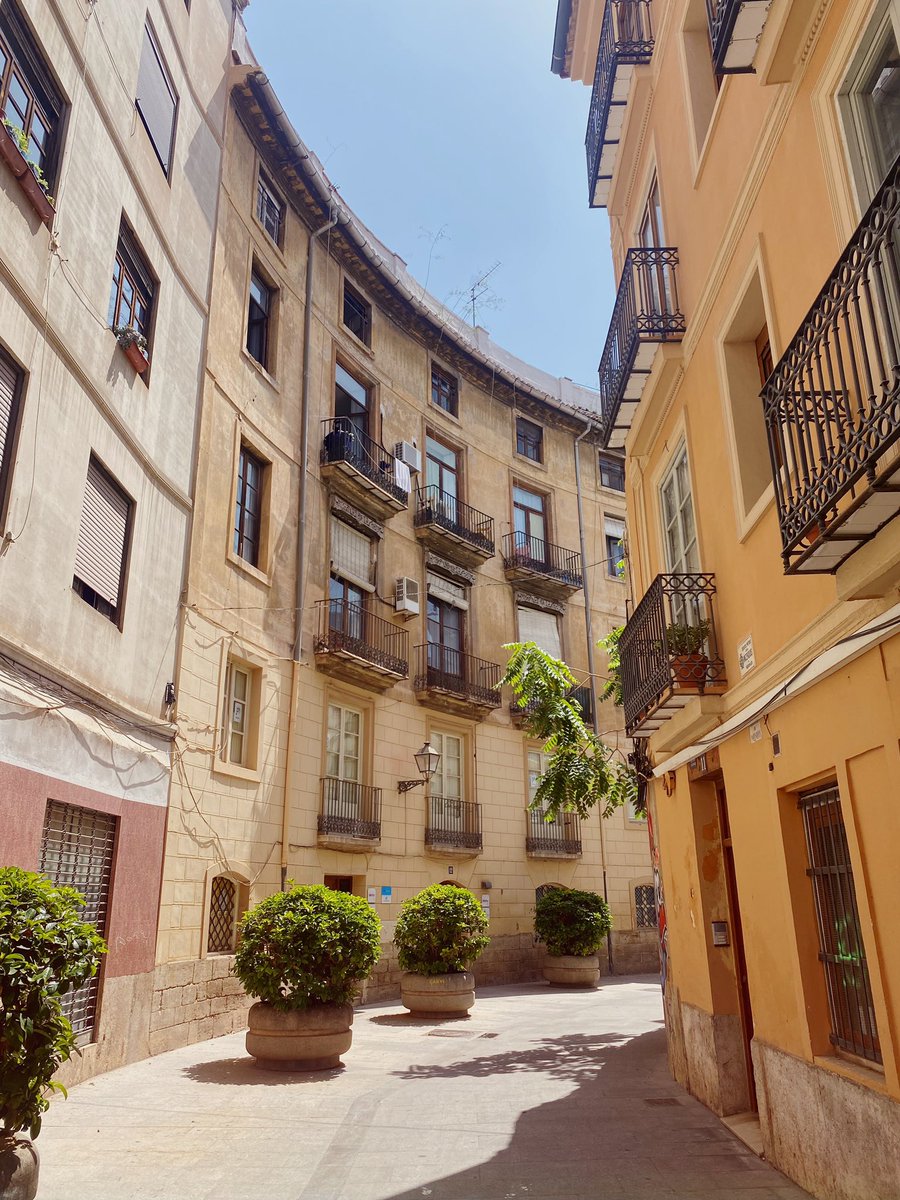 Emily♡ tweet media