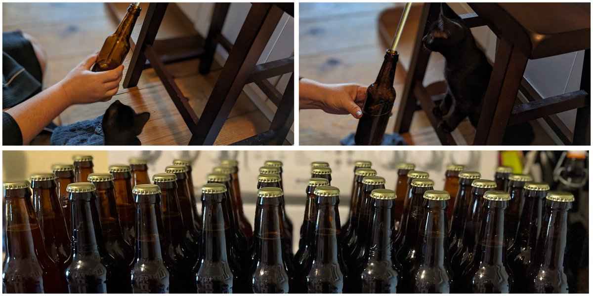 Nathan's Hotdog Scoop tweet media