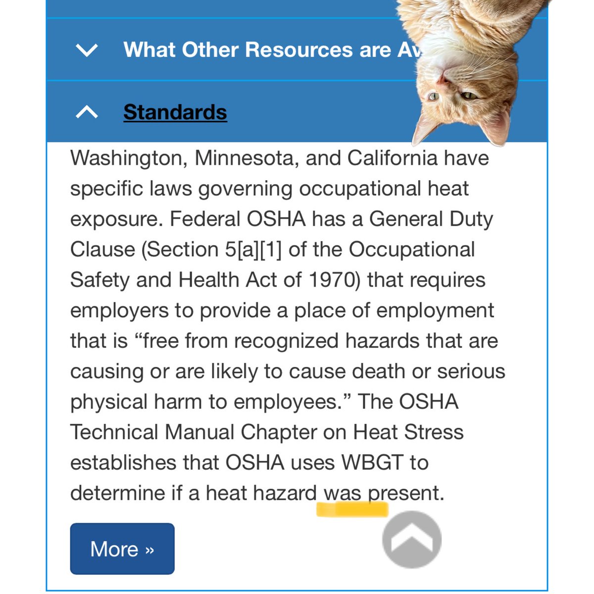 Jorts (and Jean) tweet media