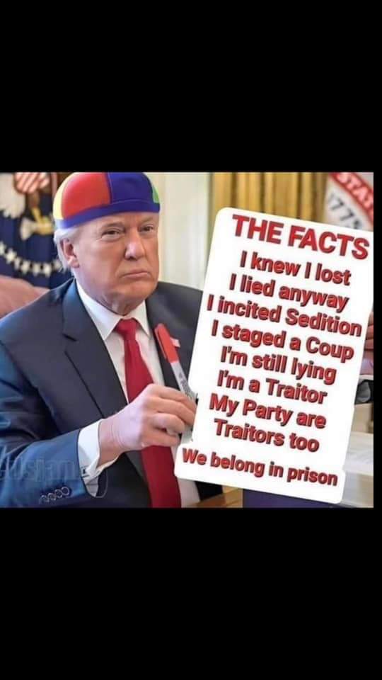 I'd rather have an 80 yr. old. Intelligent, competent, experienced and qualified POTUS than a 76 yr. old POS, traitor, and criminal, whose dad died from dementia, for president. Here's tfg's facts on his accomplishments.