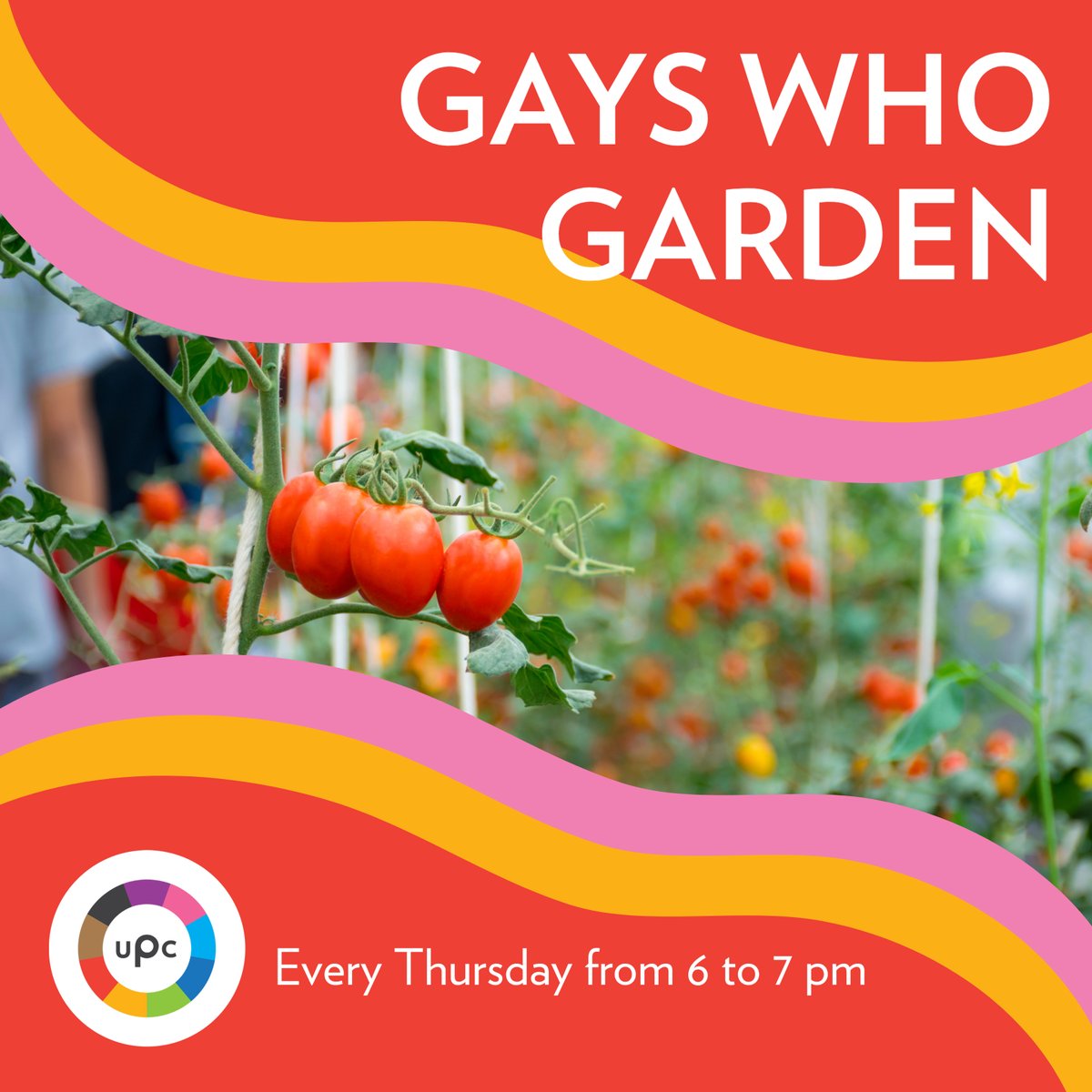 New to gardening? Come and learn about how to start and care for your own! Are you a garden pro? Expect to learn, teach, and gossip with other green-thumbed gays! There is space for everyone in this little garden! Every Thursday at 6 pm at the #UPC

eventbrite.com/e/gays-who-gar…