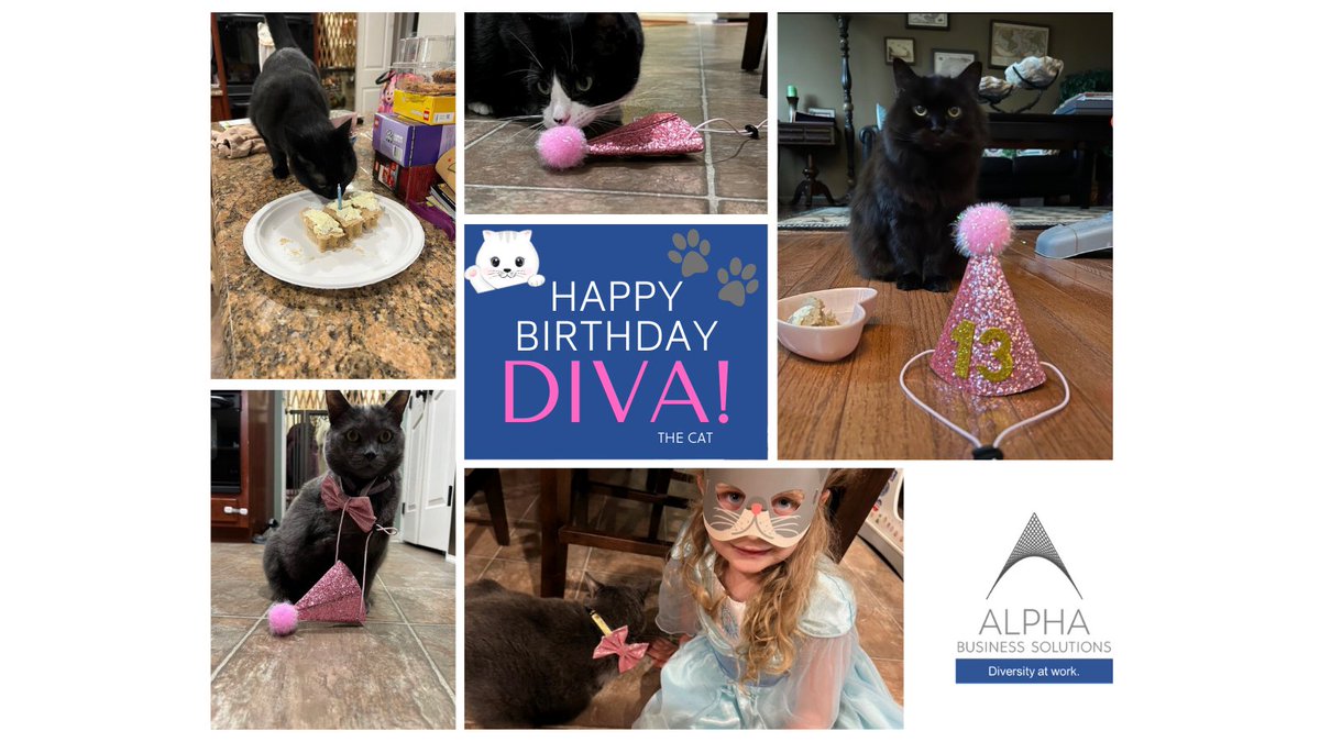DID YOU KNOW...we had a birthday last week at ALPHA?🎂

Our DIVA, the queen of the pack, turned 13 with a #catcake to boot! Her birthday party was well attended. Here are a few pics of her furry friends and one of our adorable ALPHA kiddos too!

#ALPHA #FunatWork #HBD #DIVAthecat