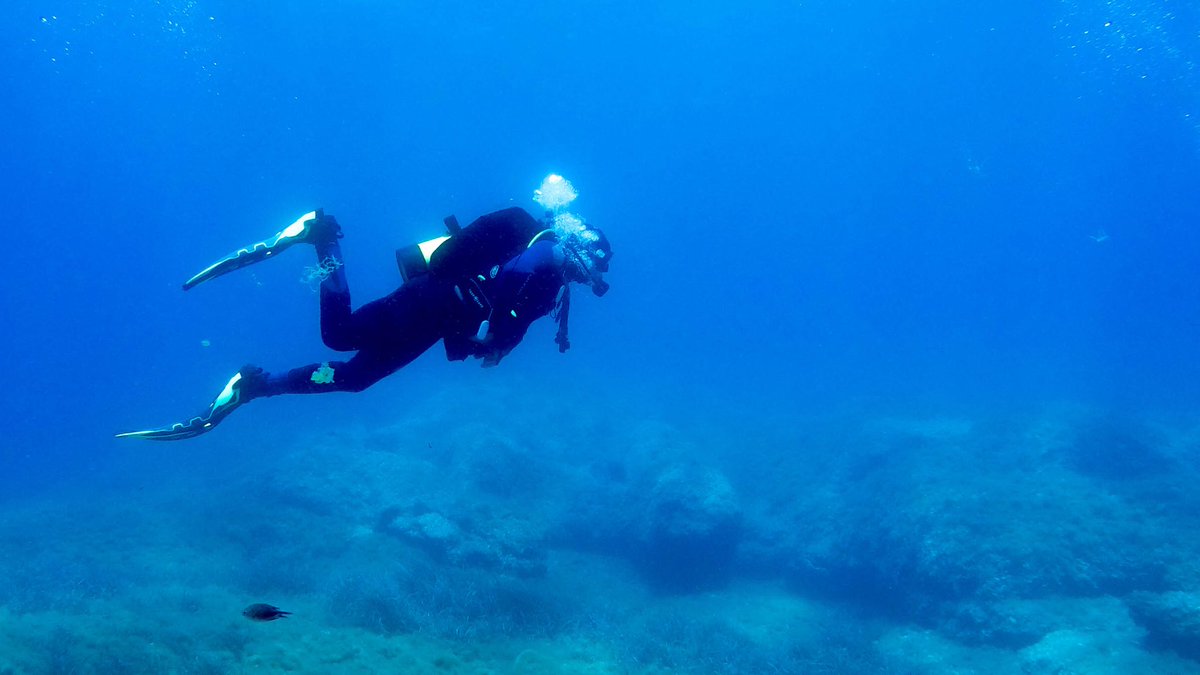 Yesterday was good. Today was better. #scubadiving #PADI #Turkiye