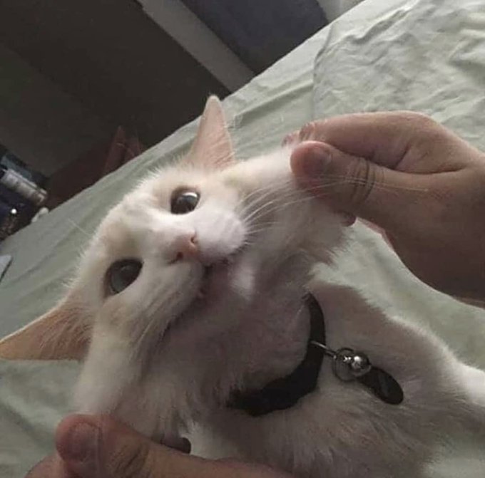 why is it everytime i click on a profile that mentions and follows me its a guy in his 20's that posts