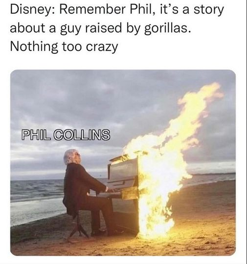 RespectfulMemes's tweet photo. https://t.co/cao4INh31b