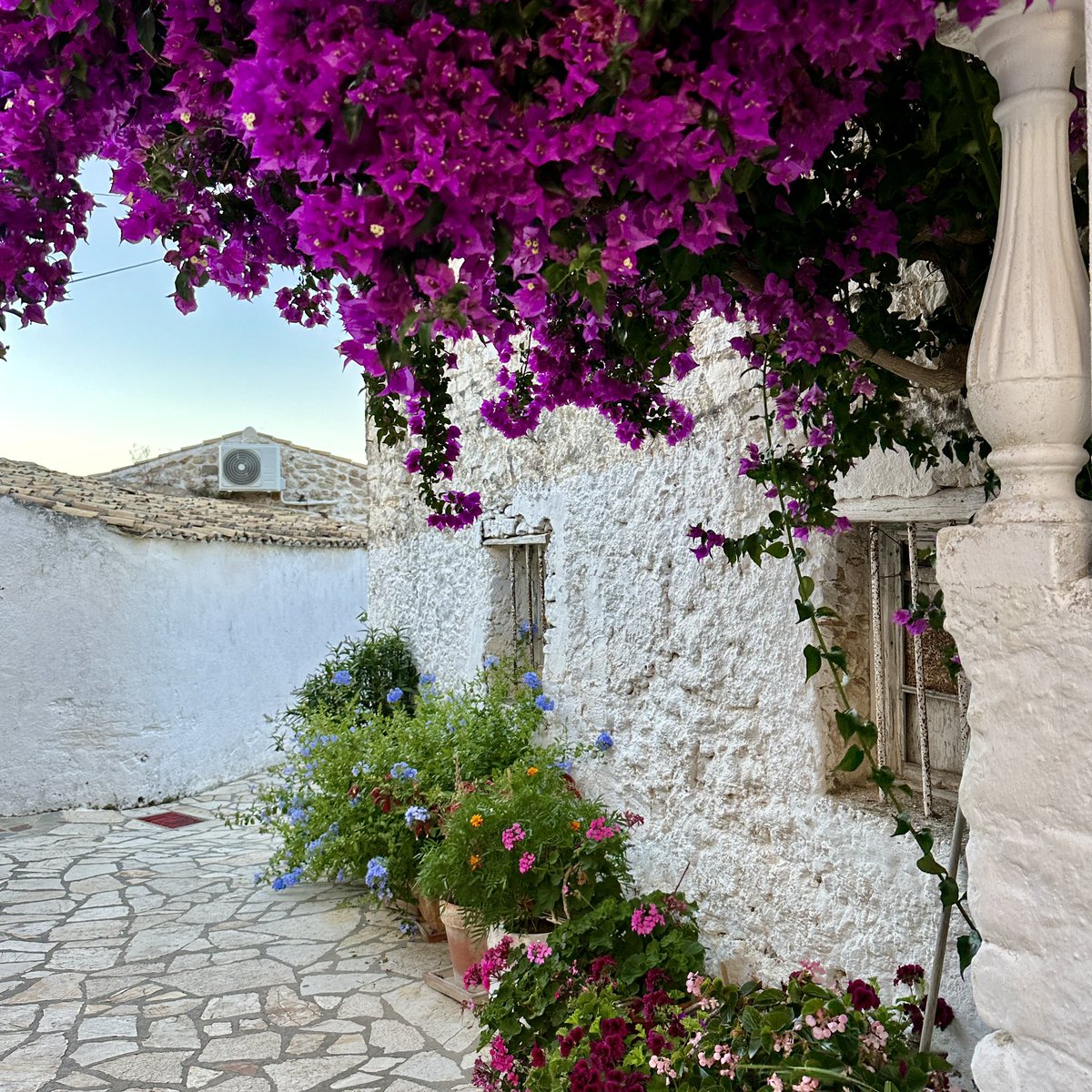 Kate Hopper tweet media