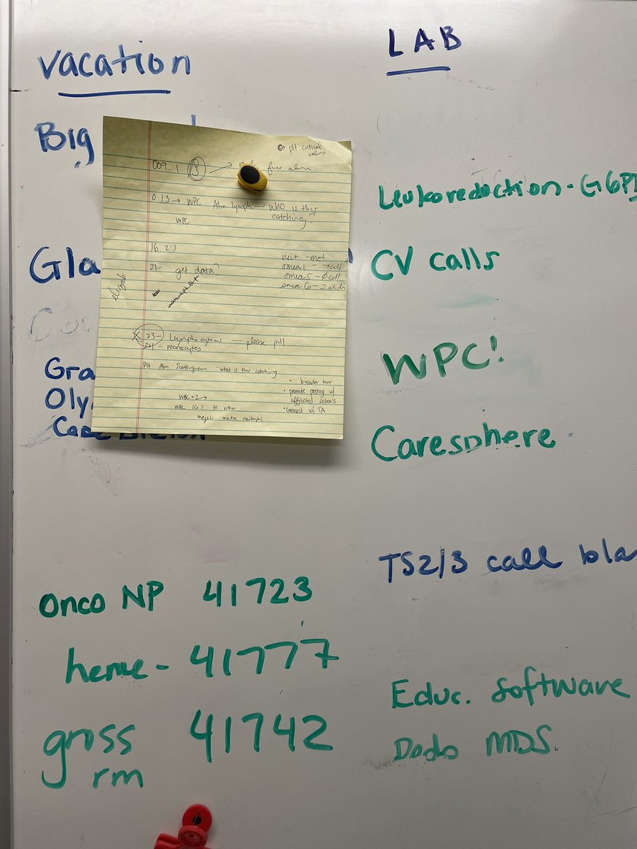 beth margolskee tweet media