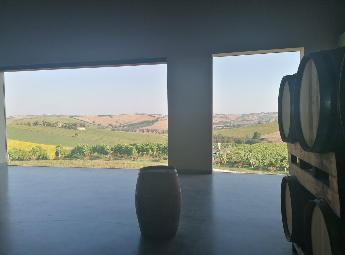 InAphysicalWay's tweet image. come ti immagini il paradiso?
Più o meno così
[e dalle mie vacanze in vigna è tutto]