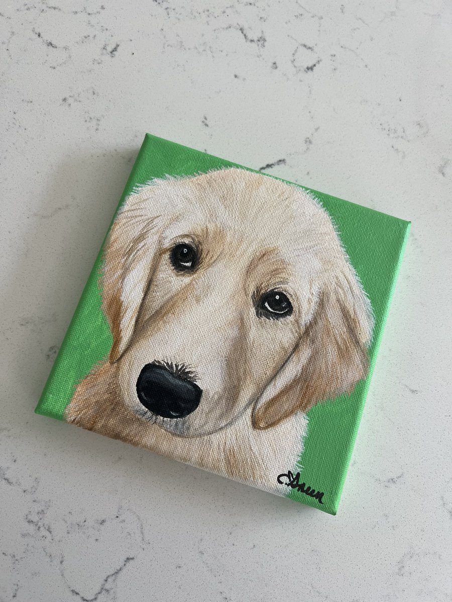 Stacie Thomas tweet media