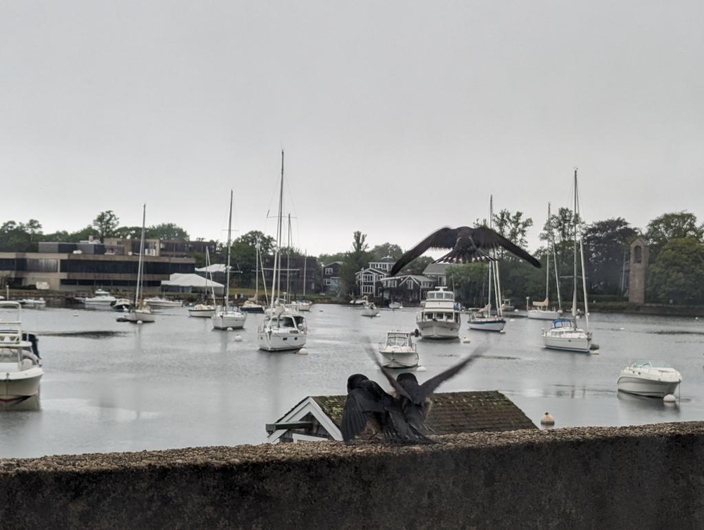 Carolyn Tepolt tweet media