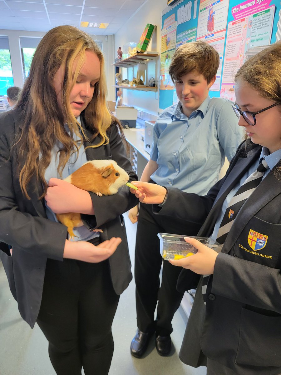 Stalham High School tweet media