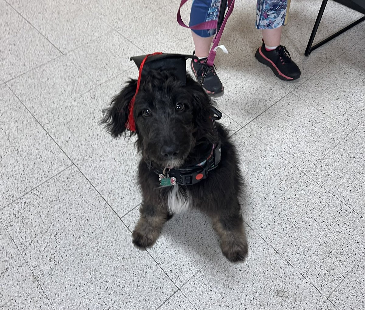 Rylie passed her puppy training today. I’m soo proud of you! I love you sooo much sweet girl 💜💜💜💜