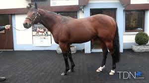 Equiano Club tweet media