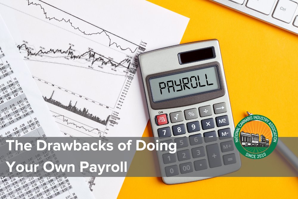NCIAorg's tweet photo. Read our latest #IndustryInsights blog from @TesseonPeople to learn the drawbacks of in-house payroll and the advantages of outsourcing - https://t.co/KRKVTlQd0p
#payrollmanagement #cannabisindustry #outsourcepayroll #businessgrowth #humancapitalmanagement #cannabisbusiness https://t.co/DGqnkUXf3V