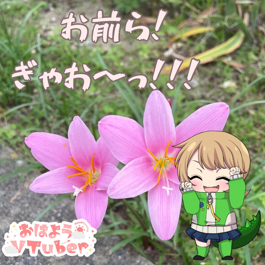 ぎゃお〜っ💚マキだぜ！
口が味気ないけど、腹は減ってないときってみんなどうしてる？
マキは野菜スティックにいろいろつけて食うのが最近のブームだぜ！
コンビニの野菜スティックも、野菜がさっぱり摂れていい感じなんだ！
ぜひぜひ、お試しあれーっ！
#Vtuberさんと繋がりたい
 #おはようVtuber