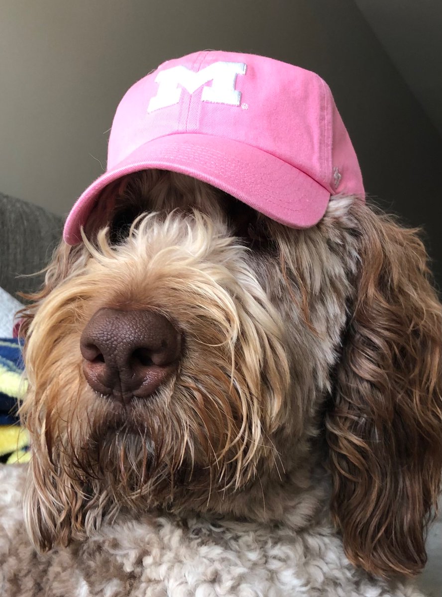 Dr.KaczorowskiLab (@kaczorowskilab) on Twitter photo Weโre looking for a Lab Manager <a href="/UMich/">University of Michigan</a> <a href="/UMichMedScience/">U-M Medical School Research</a> <a href="/KaczorowskiLab/">Dr.KaczorowskiLab</a> - seeking candidate with several years of experience, professional, organized and kind! Weโre looking for a Lab Manager <a href="/UMich/">University of Michigan</a> <a href="/UMichMedScience/">U-M Medical School Research</a> <a href="/KaczorowskiLab/">Dr.KaczorowskiLab</a> - seeking candidate with several years of experience, professional, organized and kind!