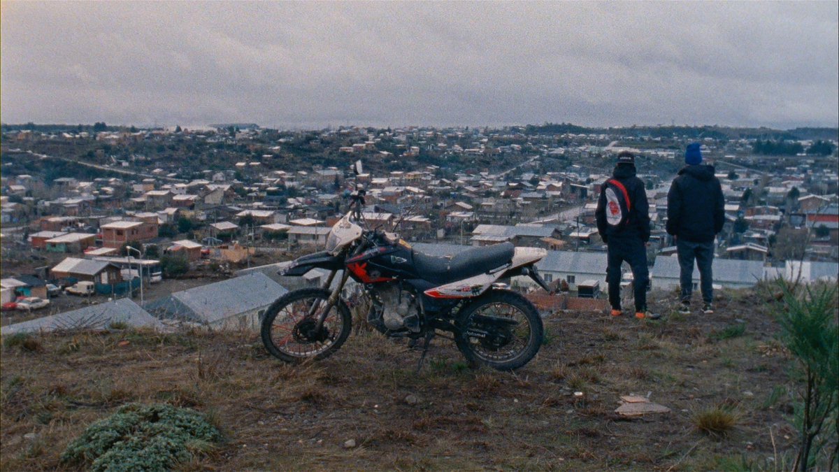 Le Cinéma IFAL tweet media