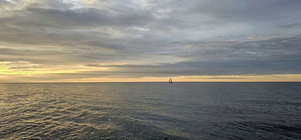 StarboardRail's tweet photo. Peaceful, easy feeling.
#sunset #boating #LLOTW https://t.co/R5GOzqEctt