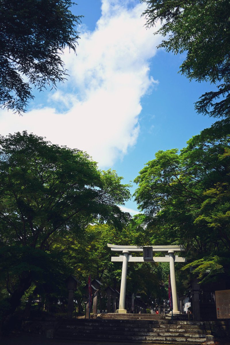 niko_zfc's tweet photo. 湖のある公園を散歩。
全身で夏を感じてきた。

夕立に降られたけどそれすらも夏らしくて良い。

#Nikon #Zfc #nikonzfc
#写真好きな人と繋がりたい
#キリトリセカイ #photography https://t.co/AyRQ6BivW3