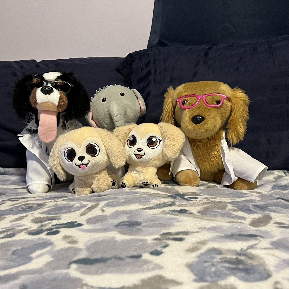 rjalbert61's tweet photo. @TheGoldenRatio4 Vink is here in New Hampshire reuniting with seezter Hops and guarded by @bunsenbernerbmd and Beaker and @dog_feelings Sebastian! https://t.co/Nx07NcyWBd