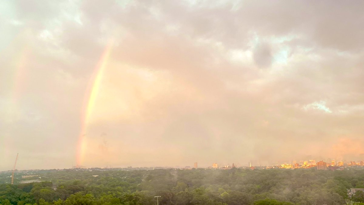 peter payack tweet media