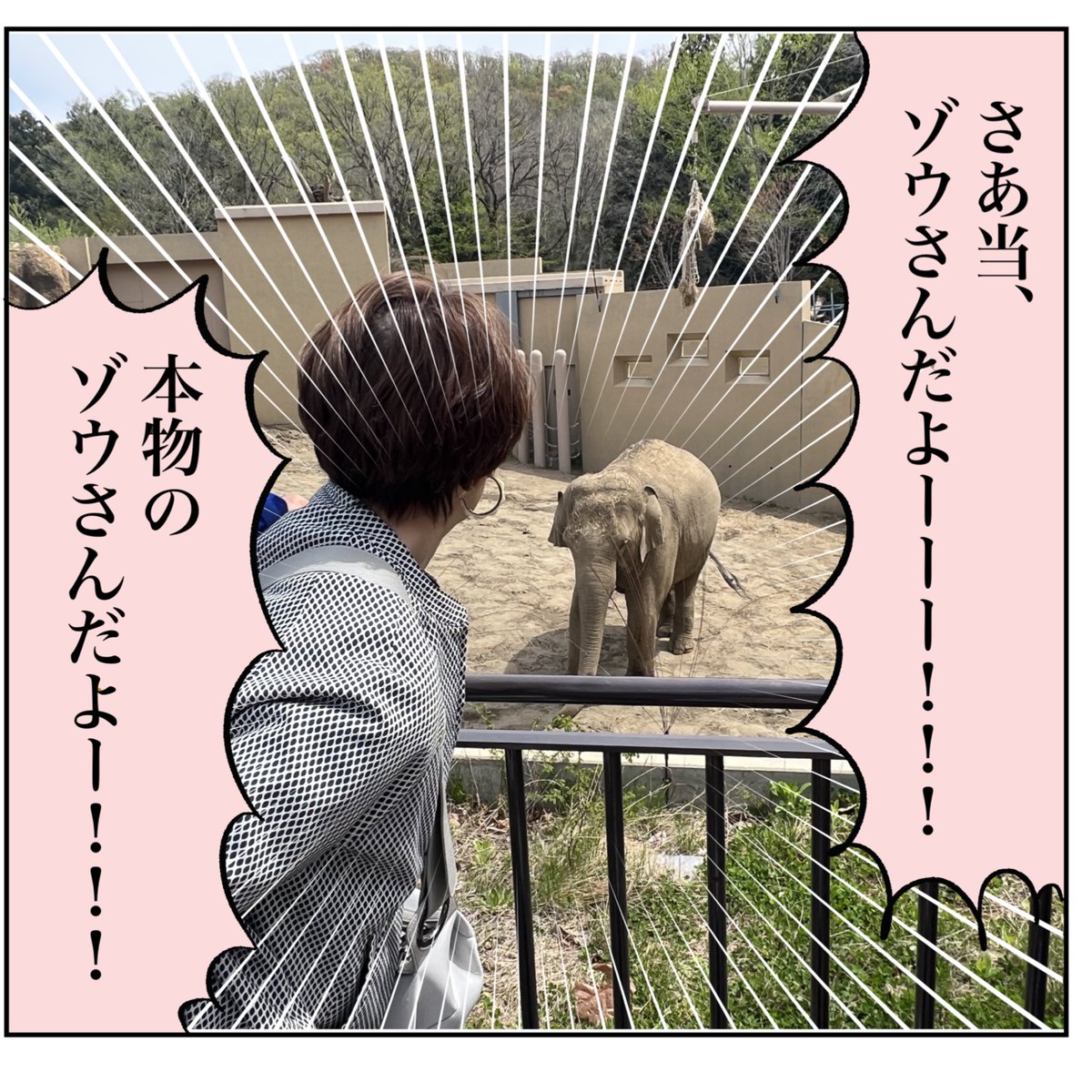 続きは毎日私のTwitterにアップしていきますがブログで3話先まで先読みできるようになってます✨
続きは「推し道極まれり」編。
ますますヤバくなるゾウ熱にご注目🐘

https://t.co/vMHtadYzrh https://t.co/6NpBZo871z