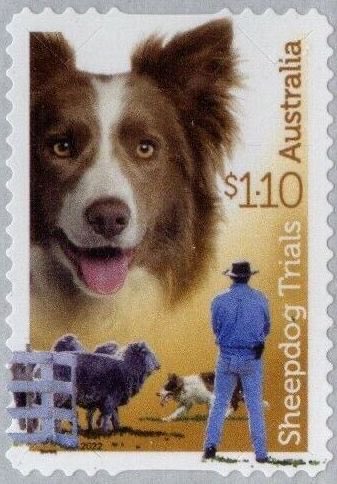 DogCognitionSE's tweet photo. Postage stamp from Australia. https://t.co/LZXEZOkses