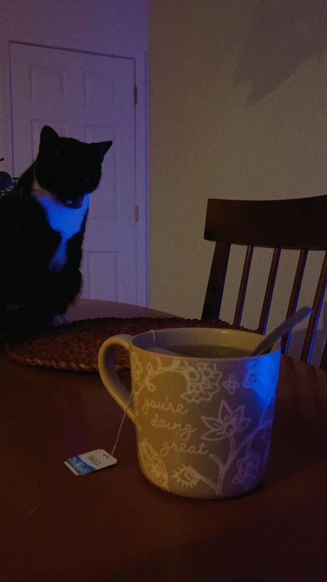 sunflower tweet media