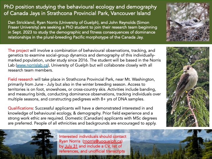Dr. Ryan Norris (@ryannorrissci) on Twitter photo New PhD position available to work on the behaviour and demography of Vancouver Island Canada Jays with myself, <a href="/perisoreus1/">Dan Strickland</a>, and <a href="/Reynolds_JohnD/">John Reynolds</a>. Please RT. Thanks!! New PhD position available to work on the behaviour and demography of Vancouver Island Canada Jays with myself, <a href="/perisoreus1/">Dan Strickland</a>, and <a href="/Reynolds_JohnD/">John Reynolds</a>. Please RT. Thanks!!