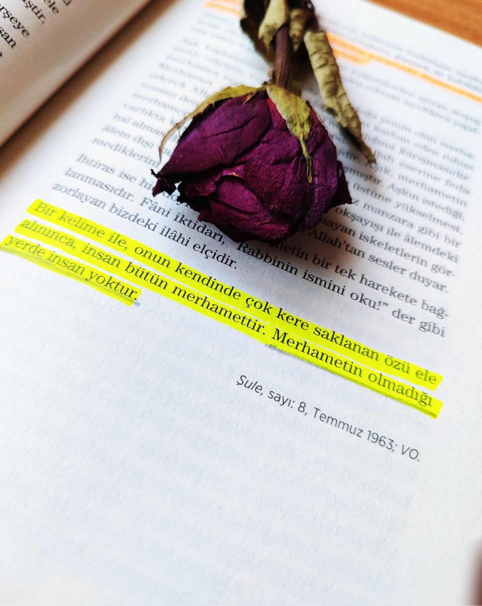 "...Merhamet dünyası dışında yaşanan duygular da birer azap veya sefalettir.. 
..Bir kelime ile,onun kendinde çok kere saklanan özü ele alınınca,insan bütün merhamettir. Merhametin olmadığı yerde insan yoktur. "
-Nurettin Topçu