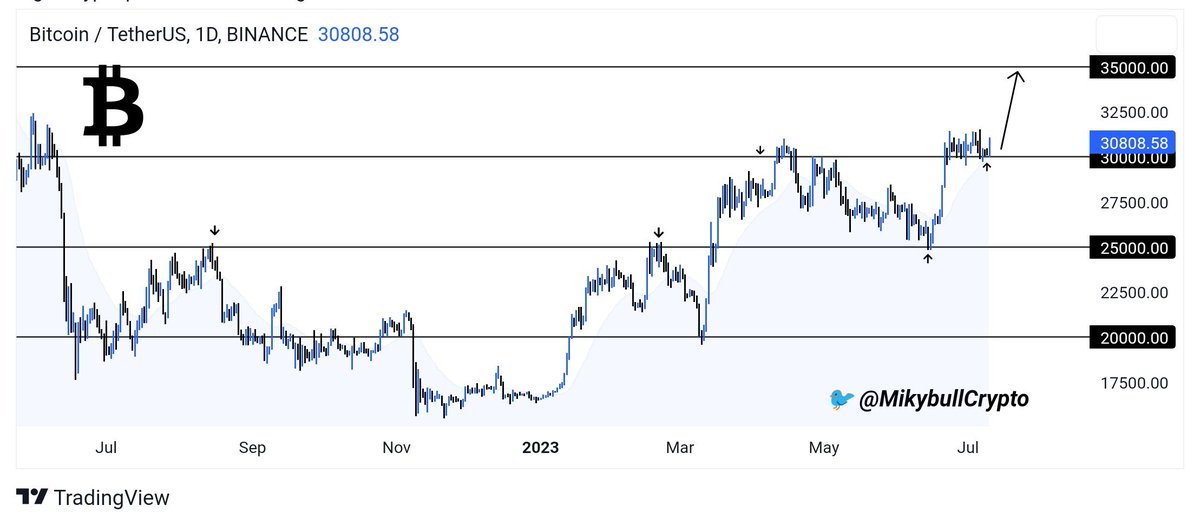 Support and Resistance line serves as key levels solving the confusion about the price direction of #BITCOIN 

We've seen couple of daily candle close above 30k$, with no proper rejection. My bias remains bullish until otherwise.

Next stop is 35000$ 🚀