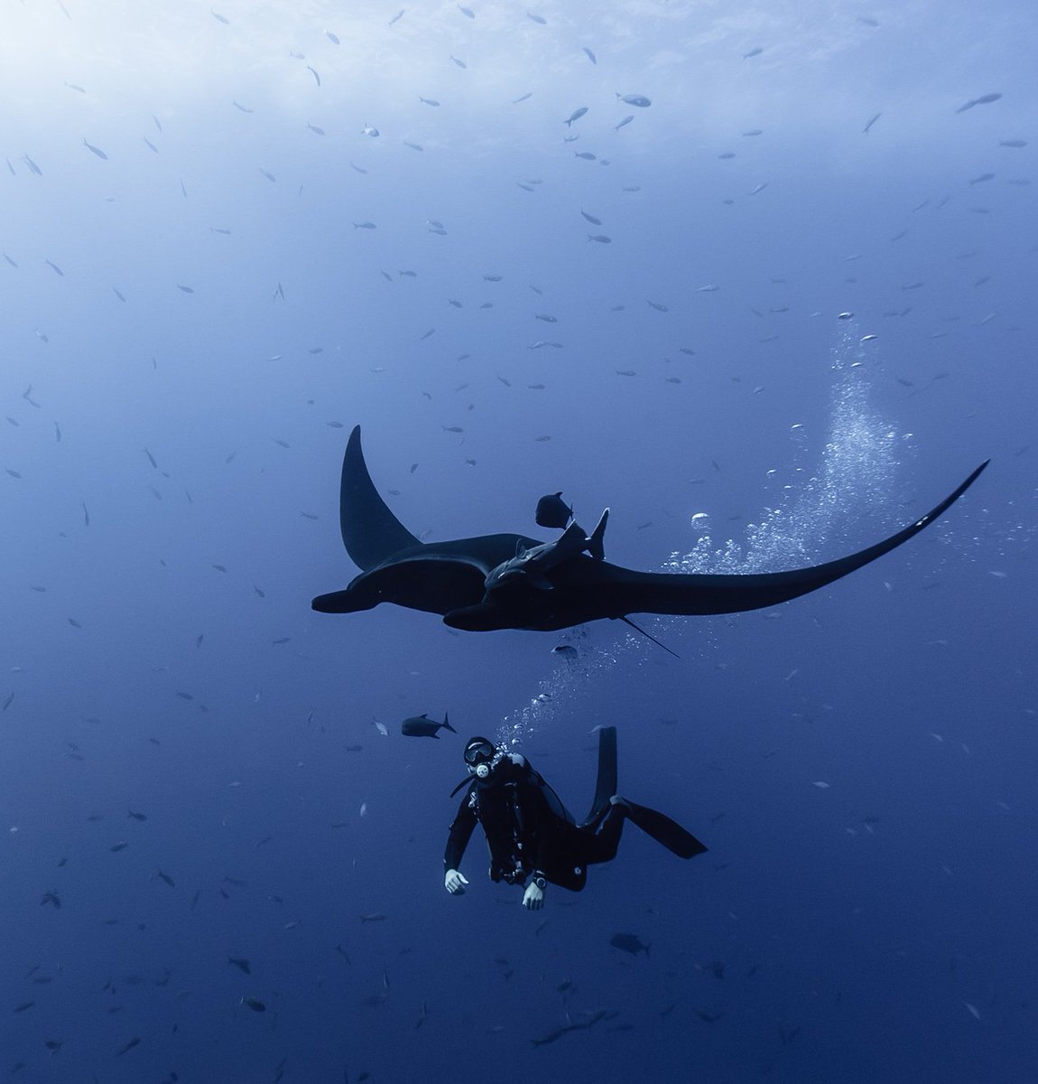 NomadaFoto's tweet photo. frío?
échese una mantita https://t.co/YGehmXTlQY