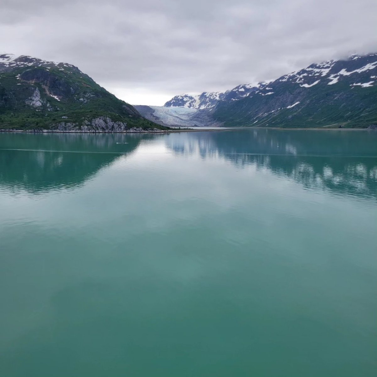 Glacier Bay National Park 
#Alaska #glacierbay