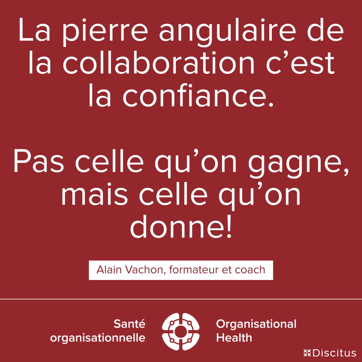 Discitus Consultants tweet media