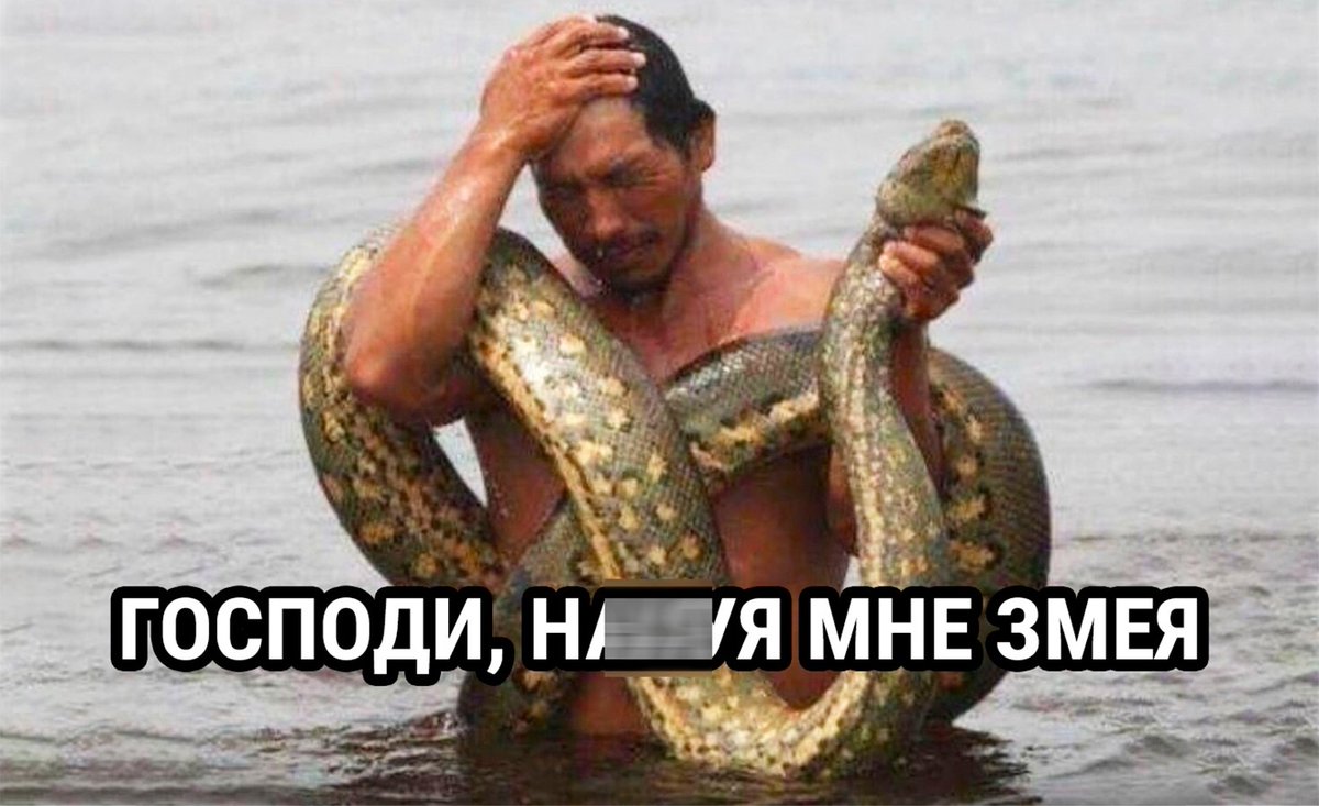 Пьяный Твиттер tweet media