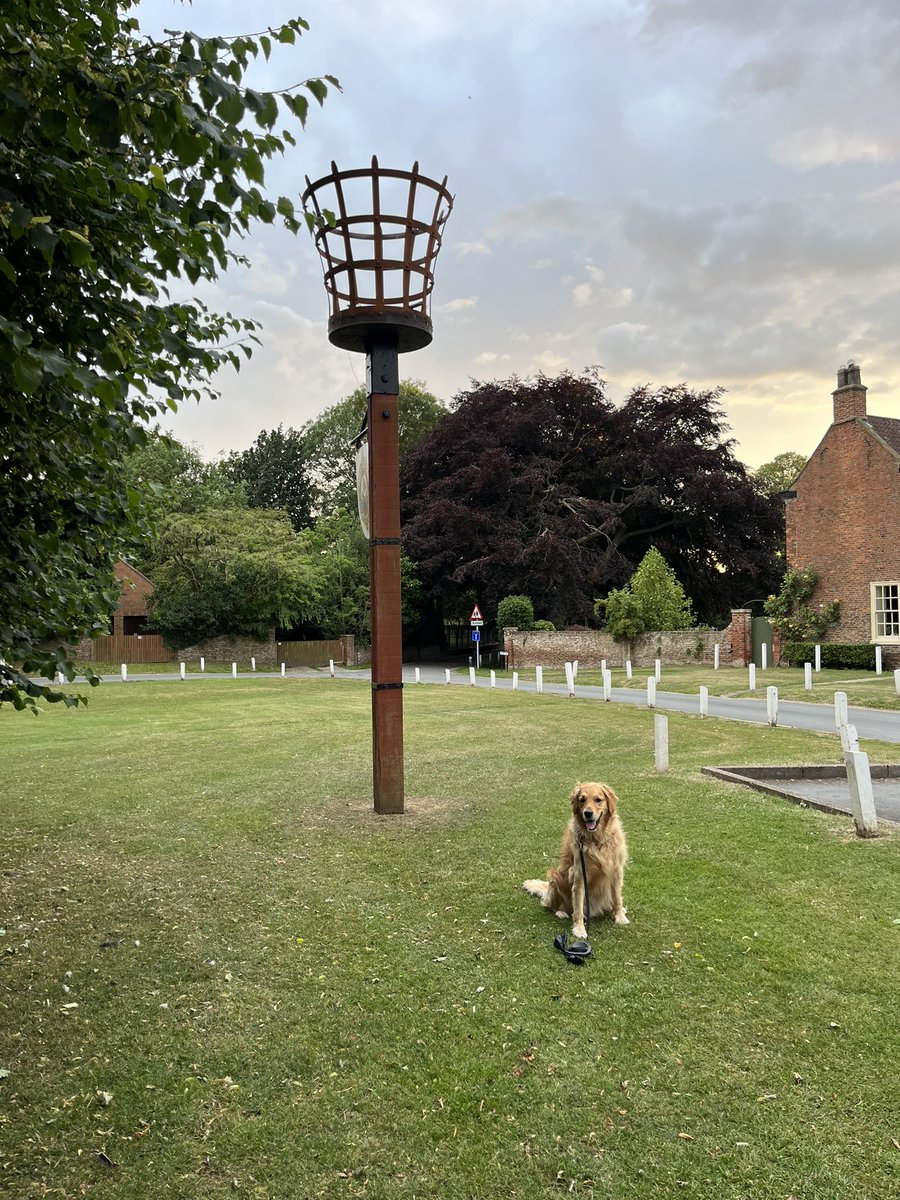 katesutton70's tweet photo. A gorgeous evening walk with my Blue dog @BlueDog82781119 #myhometown #Yorkshire #Bluelander https://t.co/1tdRM9F2gb