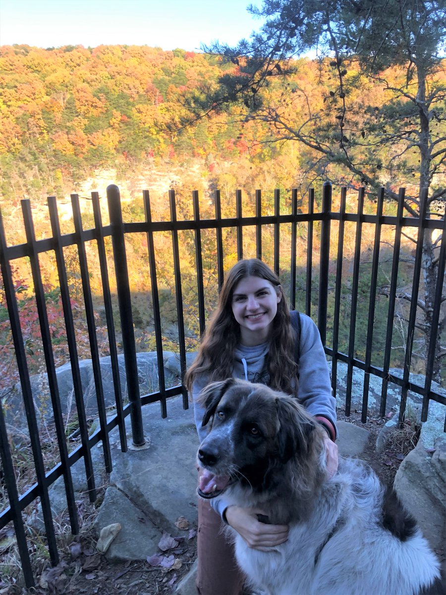 utcvm's tweet photo. Congrats to Katie Riese on a successful @UTCEM  Master's defense of "Black Bear Population Health Monitoring in the Southeast." Her research has set a foundation for future wildlife, domestic animal, and public health studies and will help wildlife managers in decision-making. https://t.co/npHi3msJ14