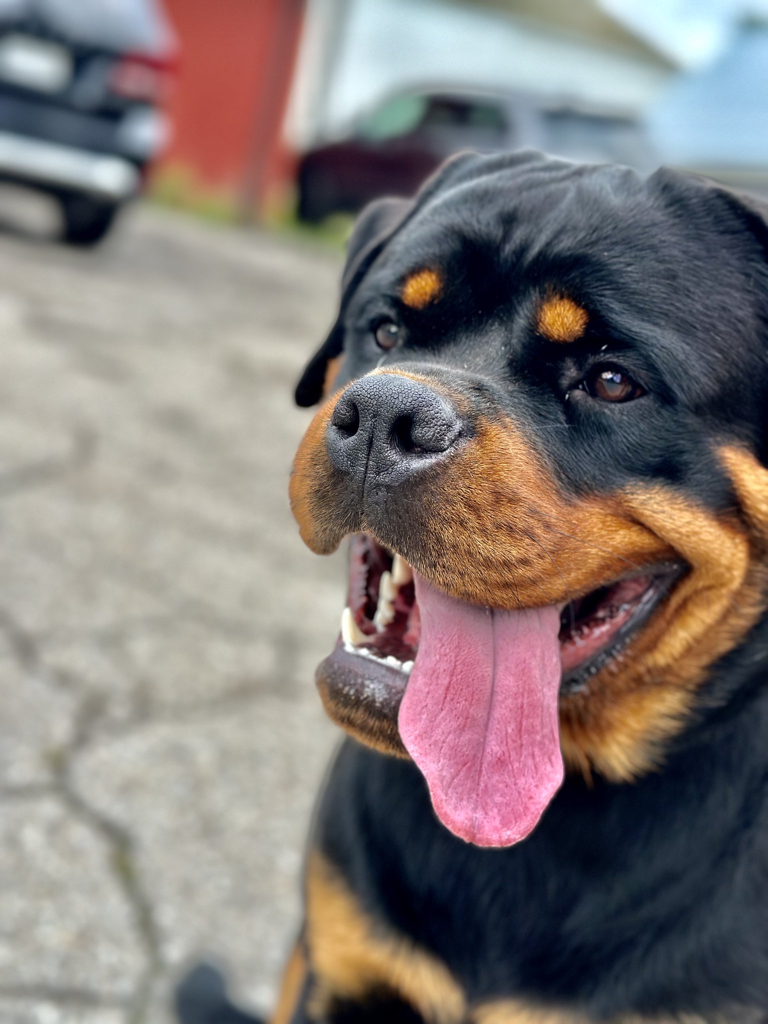 Bootsy Collins on Twitter: